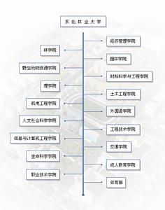 东北林业大学毕业证发放时间